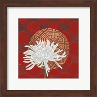 Framed Morning Chrysanthemum IV