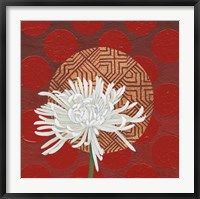 Framed Morning Chrysanthemum IV