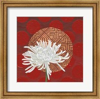 Framed Morning Chrysanthemum IV