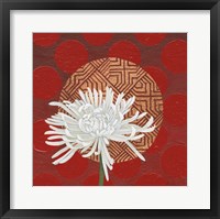 Morning Chrysanthemum IV Framed Print
