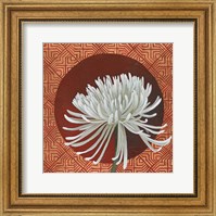 Framed Morning Chrysanthemum III