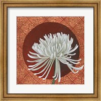 Framed Morning Chrysanthemum III