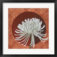 Framed Morning Chrysanthemum III