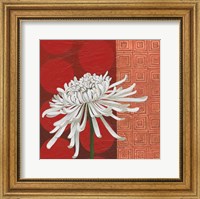 Framed Morning Chrysanthemum II