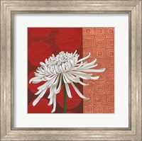 Framed Morning Chrysanthemum II