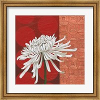 Framed Morning Chrysanthemum II