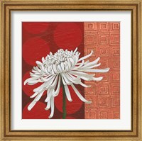 Framed 'Morning Chrysanthemum II' border=