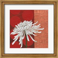 Framed 'Morning Chrysanthemum II' border=