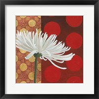 Framed 'Morning Chrysanthemum I' border=