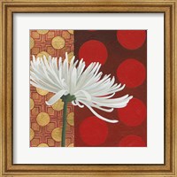 Framed Morning Chrysanthemum I