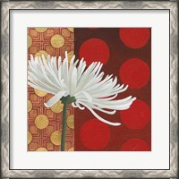 Framed Morning Chrysanthemum I