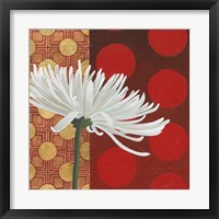 Framed 'Morning Chrysanthemum I' border=