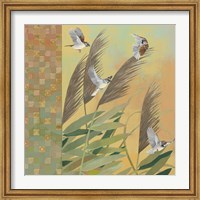 Framed Sparrows and Phragmates August Evening