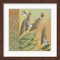 Framed Sparrows and Phragmates August Evening