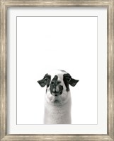 Framed Lovable Llama I v2