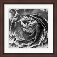 Framed Ranunculus Abstract IV BW