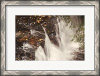 Framed Mosquito Falls I