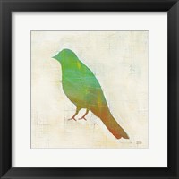 Flight Patterns Bird II Framed Print