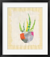 Framed Collage Cactus VIII