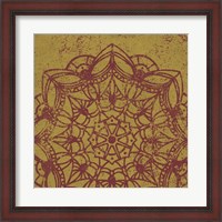 Framed Contemporary Lace IV Spice