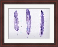 Framed Lavender Feathers