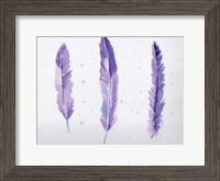 Framed Lavender Feathers