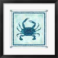 Crab II Frame Framed Print