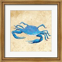 Framed Blue Crab V Neutral Crop