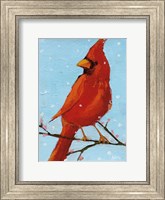 Framed Cardinal II