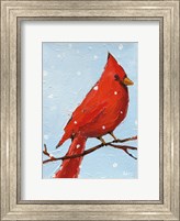 Framed Cardinal I