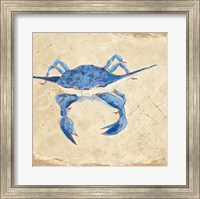 Framed Blue Crab VI Neutral