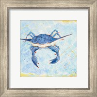 Framed Blue Crab VI