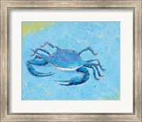 Framed Blue Crab V
