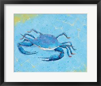 Framed Blue Crab V
