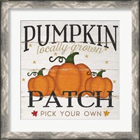 Framed 'Pumpkin Patch' border=