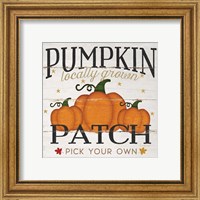 Framed 'Pumpkin Patch' border=