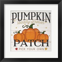 Framed Pumpkin Patch