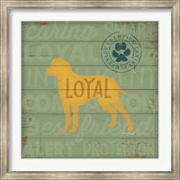 Framed Loyal Dog