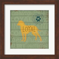 Framed Loyal Dog