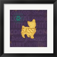 Sassy Dog Framed Print