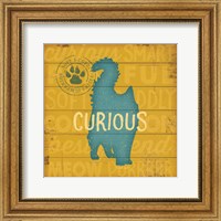 Framed Curious Cat
