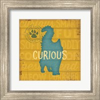 Framed Curious Cat