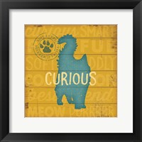 Curious Cat Framed Print