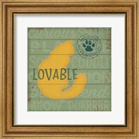 Framed Loveable Cat