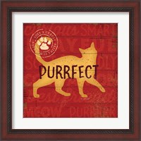 Framed 'Purrrfect Cat' border=