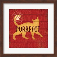 Framed 'Purrrfect Cat' border=