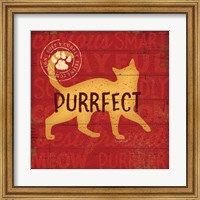 Framed Purrrfect Cat