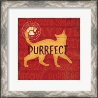 Framed Purrrfect Cat