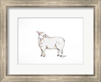 Framed Sheep