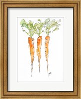 Framed Carrots